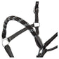 BR Leather Halter Set Dundee (Halter and Matching Lead) - Gorgeous Set