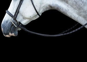 ProSeries Raised Perfect Reins - Brown 54"