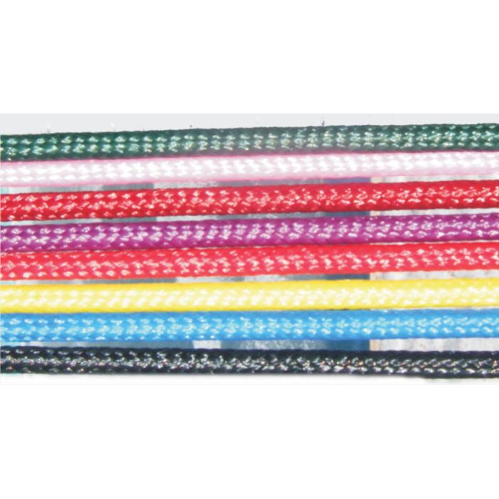 Lunge Whip - 72" - BLUE