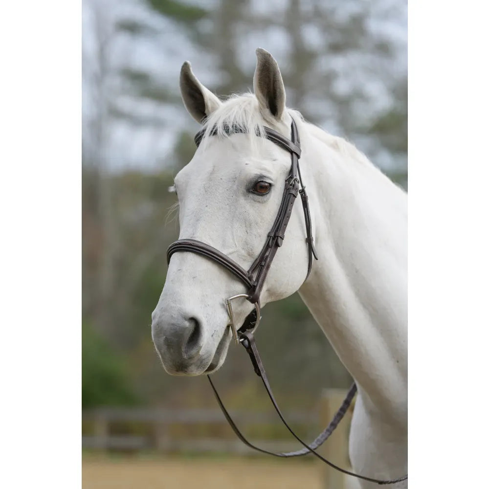 Shires AVIGNON NASHVILLE BRIDLE Havana Pony