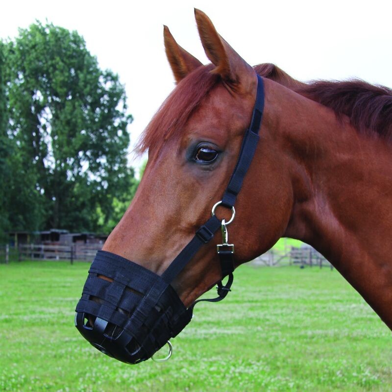 What Is a Grazing Muzzle? – GG Equine What Is a Grazing Muzzle? – GG Equine