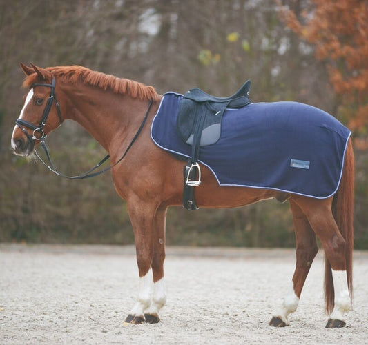 Horse Blanket Accessories  Equestrian Blankets & Covers - Bahr