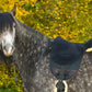 Werner Christ Basic PLUS Bareback Pad - Anthracite/Black/Natural