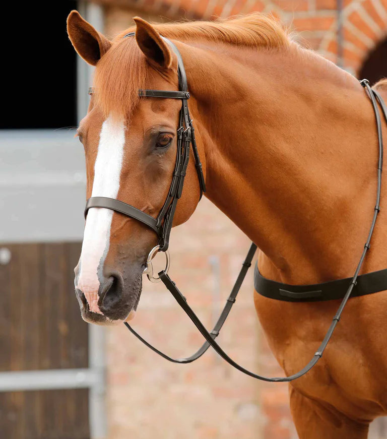 Premier Equine UK Primo Hunter Bridle - Hunt Style - Full Havana