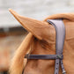 Premier Equine UK Primo Hunter Bridle - Hunt Style - Full Havana