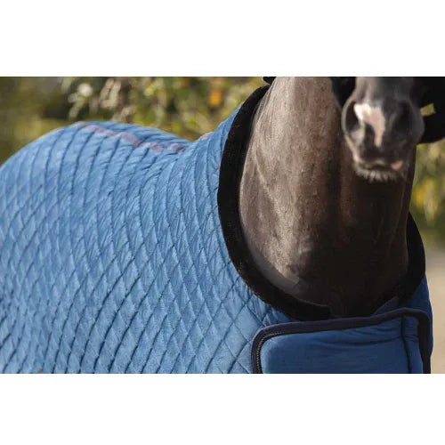 BR Clearance - ANKY® Show Rug Velvet 81”