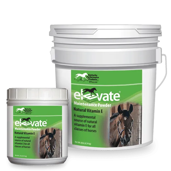 KPP Elevate Maintenance Powder 2lb - Green