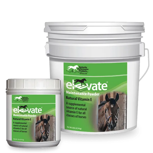 KPP Elevate Maintenance Powder 2lb - Green