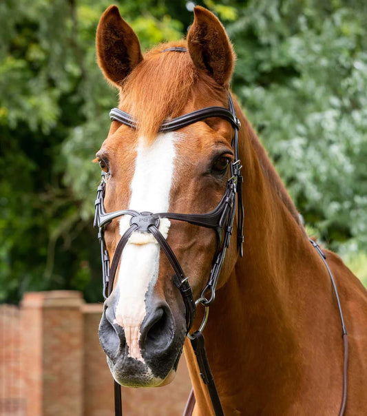 Premier Equine UK Glorioso Grackle Bridle - Full - Brown