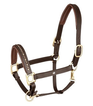 Waldhausen Crystal Leather Halter - Havana - Cob *clearance reg $128
