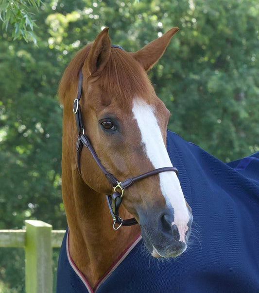 Premier Equine UK Hennaroso Rolled Anatomic Leather Halter Brown