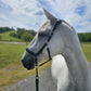 QHP Salerno Anatomic Halter - Black/Full