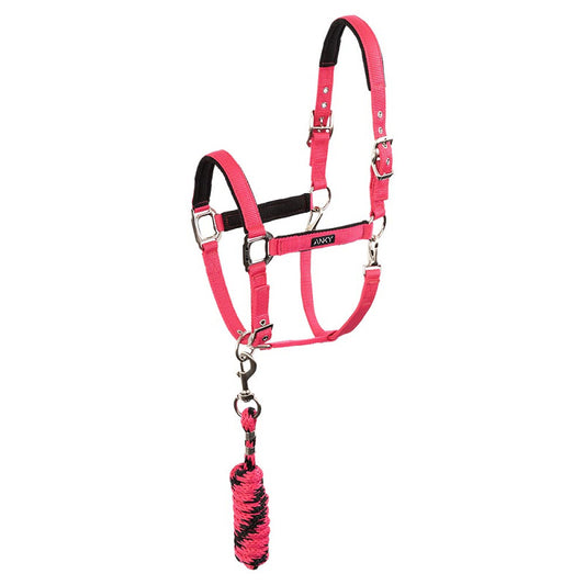 Anky Halter & Lead - Innuendo - Full - Limited Edition