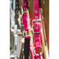 Anky Halter & Lead - Innuendo - Full - Limited Edition