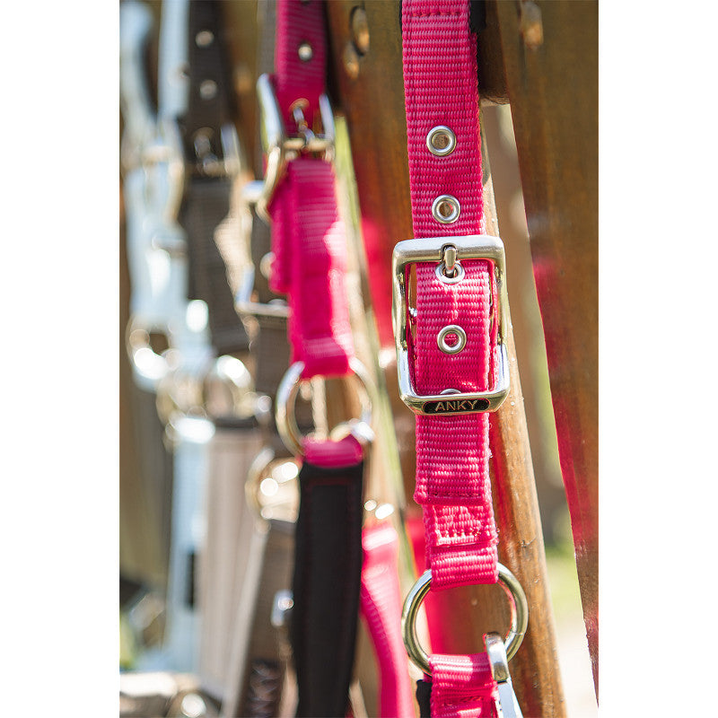 Anky Halter & Lead - Innuendo - Full - Limited Edition