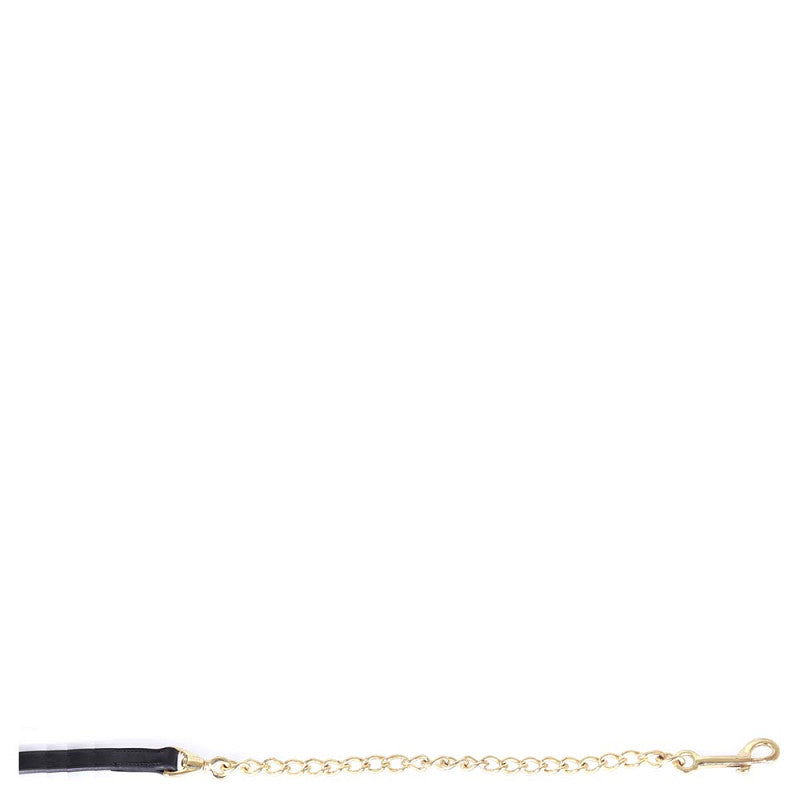 BR Premiere Black Leather Lead with Brass Chain