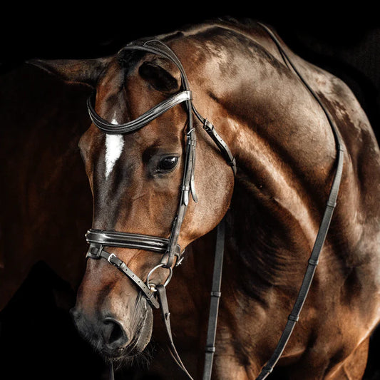 Lumiere Milan Leather Bridle (Convertible) Full/Brown with Rubber Reins