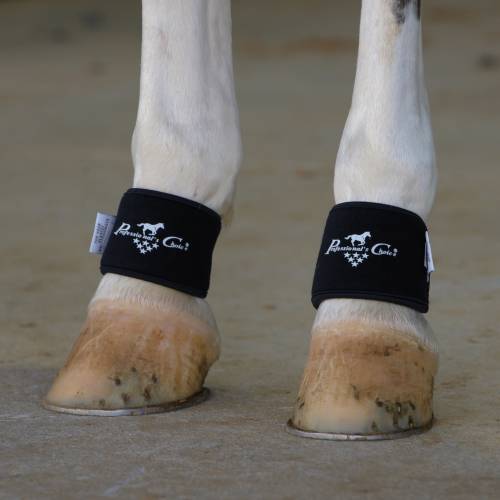 Professional's Choice 2XCool Pastern Wrap - Black