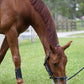 Flexible Filly Grazing Muzzle from Thin Line