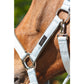 Anky Halter & Lead - Nantucket Breez - Full - Limited Edition