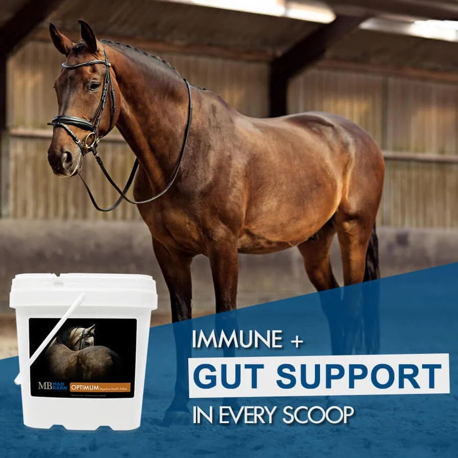 Mad Barn Optimum Digestive Health Pellets -5kg (62 servings)