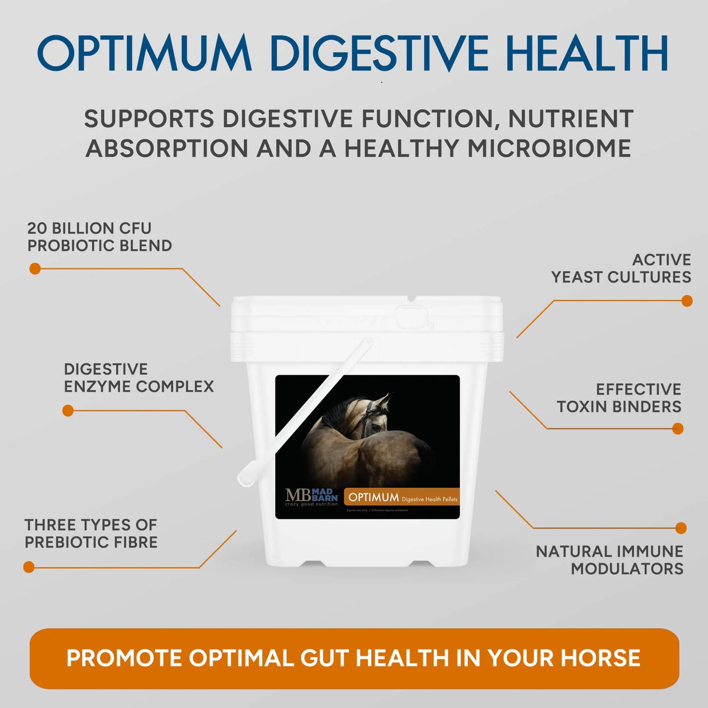 Mad Barn Optimum Digestive Health Pellets -5kg (62 servings)