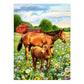 Paint by Number - Horses in Field (9"x12") - CLEARANCE