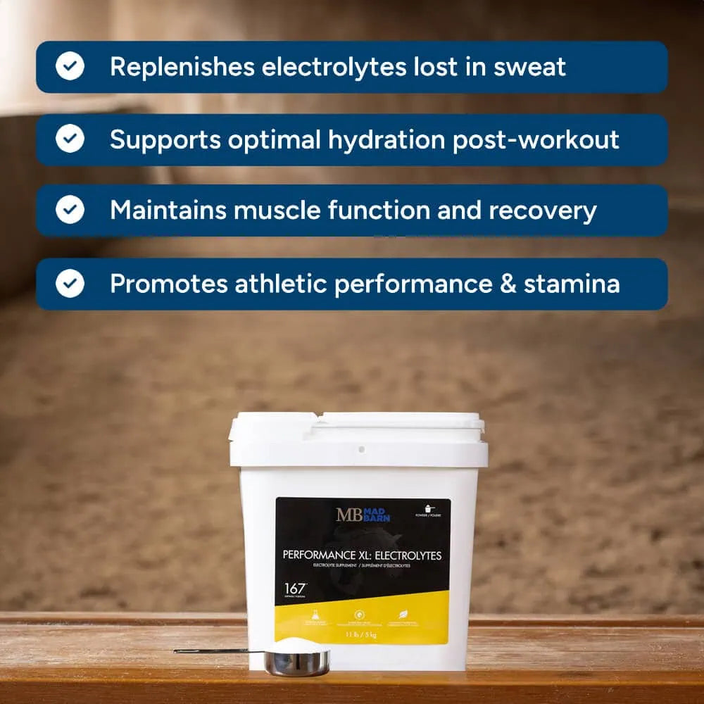 Mad Barn Performance XL: Electrolytes -1kg (33 servings)