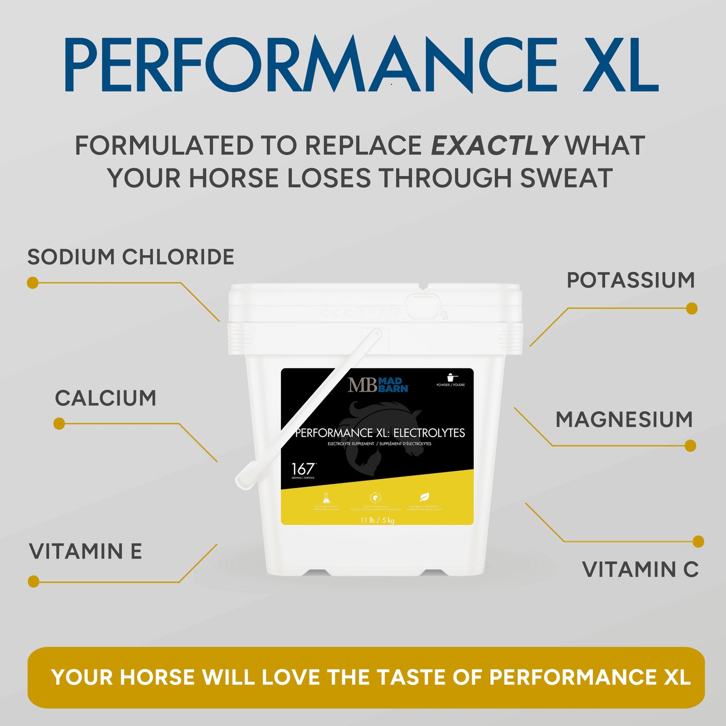 Mad Barn Performance XL: Electrolytes -1kg (33 servings)