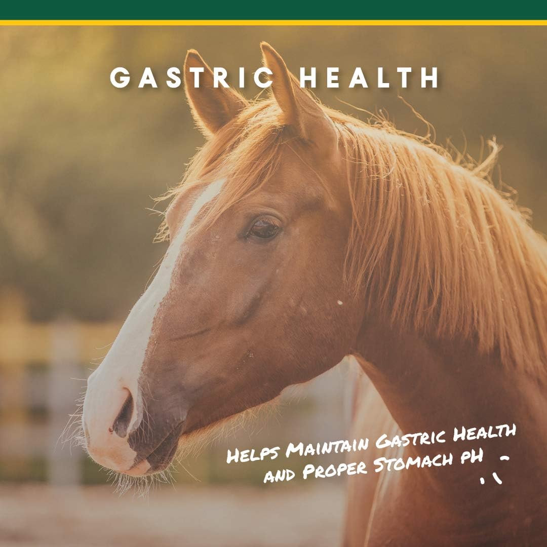 Corta-Flx U-Gard Pellets - Equine Digestive Supplement to Maintain Gastric Health - Helps Prevent Ulcer Formation - 10 LB