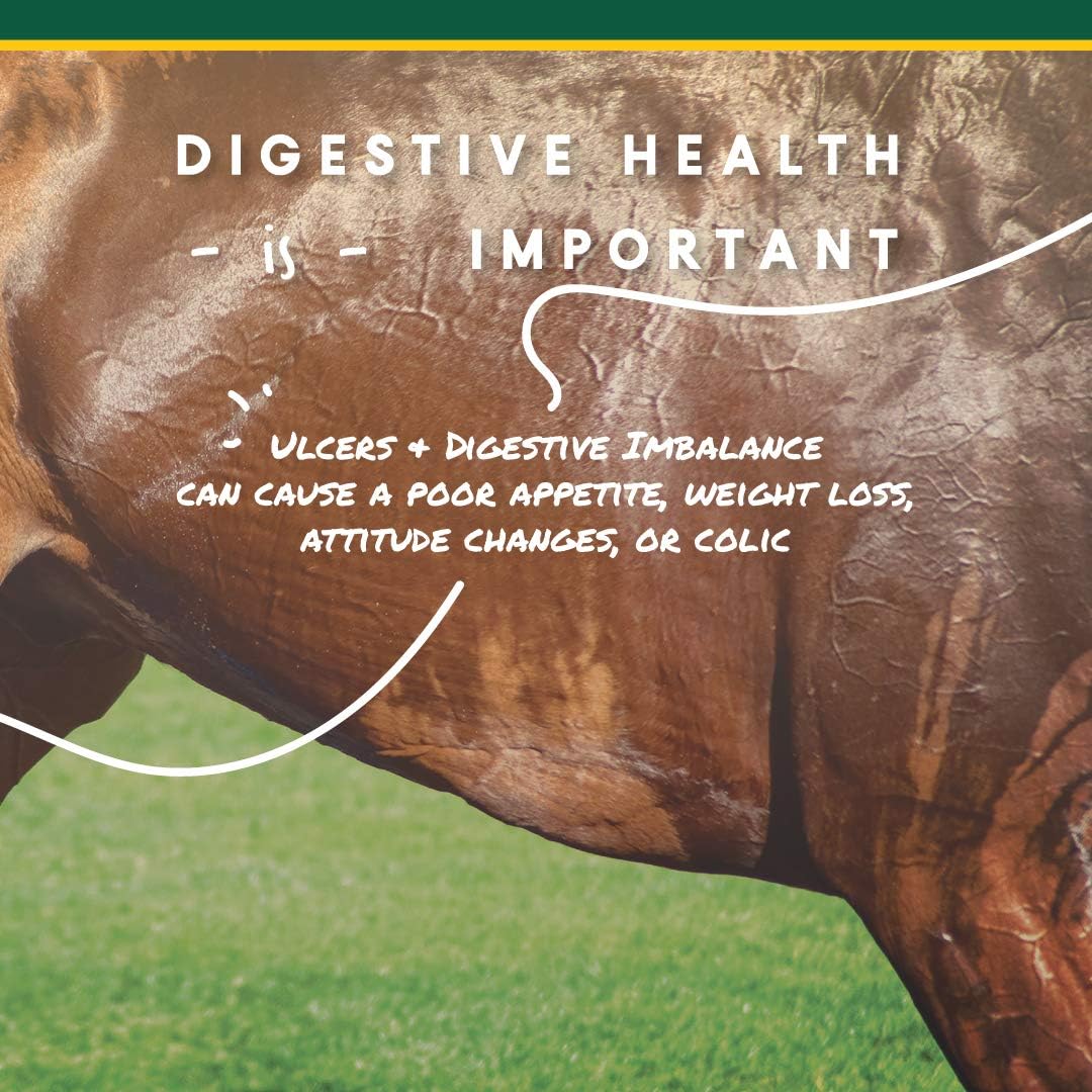 Corta-Flx U-Gard Pellets - Equine Digestive Supplement to Maintain Gastric Health - Helps Prevent Ulcer Formation - 10 LB