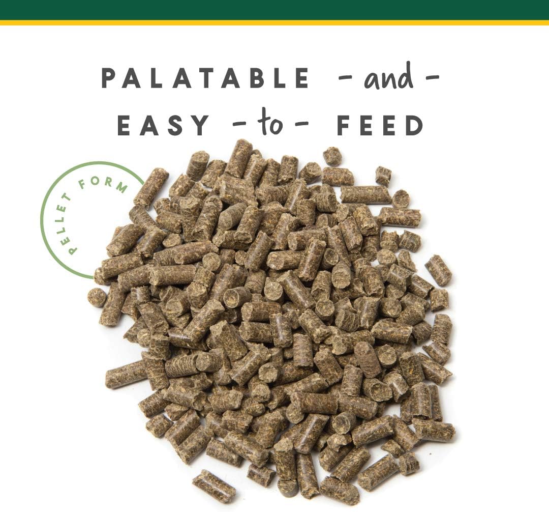 Corta-Flx U-Gard Pellets - Equine Digestive Supplement to Maintain Gastric Health - Helps Prevent Ulcer Formation - 10 LB