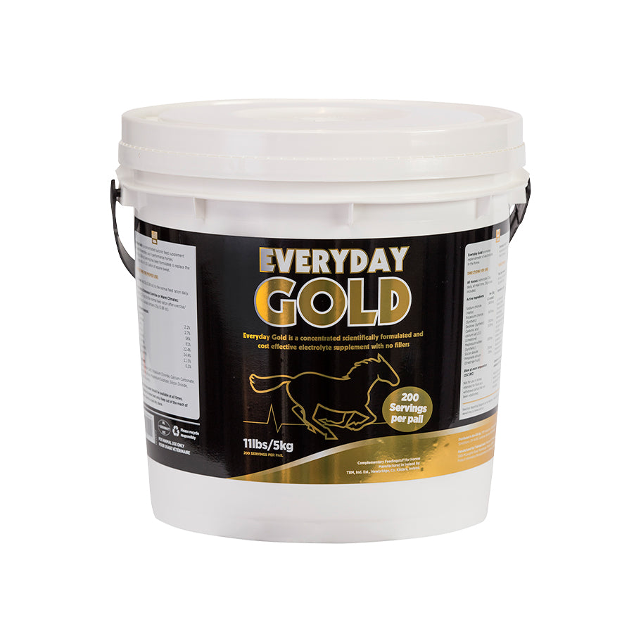 TRM EveryDay Gold - 5kg - Sale!