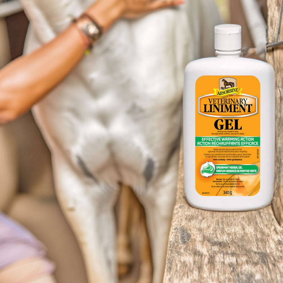 Absorbine Liniment Gel 340g
