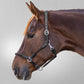 Waldhausen Nevada Halter - Pony - Black/Silver - CLEARANCE!! Reg $59.95