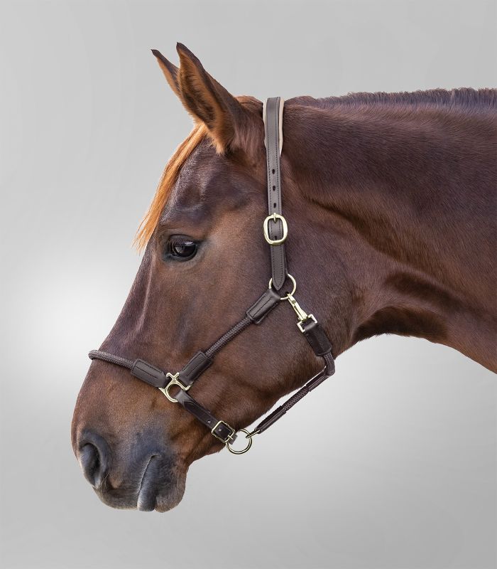 Waldhausen Nevada Halter - Pony - Brown/Brass - CLEARANCE!! Reg $59.95