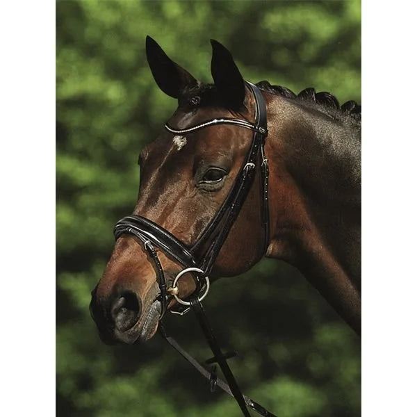 NEW -  Passier Apollo Snaffle Bridle - Black Patent - Full *CLEARANCE* Reg $582.00