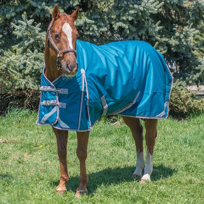 Canadian Horsewear Aquarius Diablo 0gm - Liner Compatible - 78"