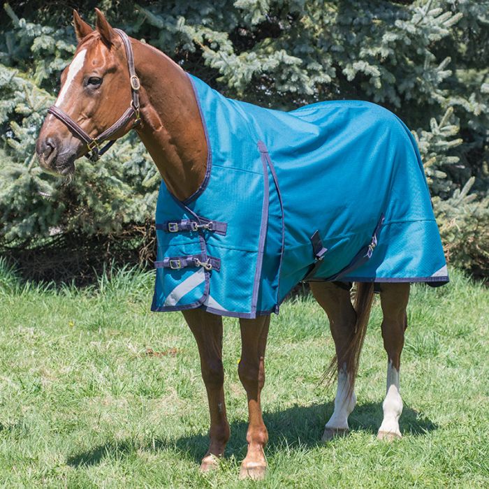 Canadian Horsewear Atlantis - 300gm with 3/4 Neck - Size 66"