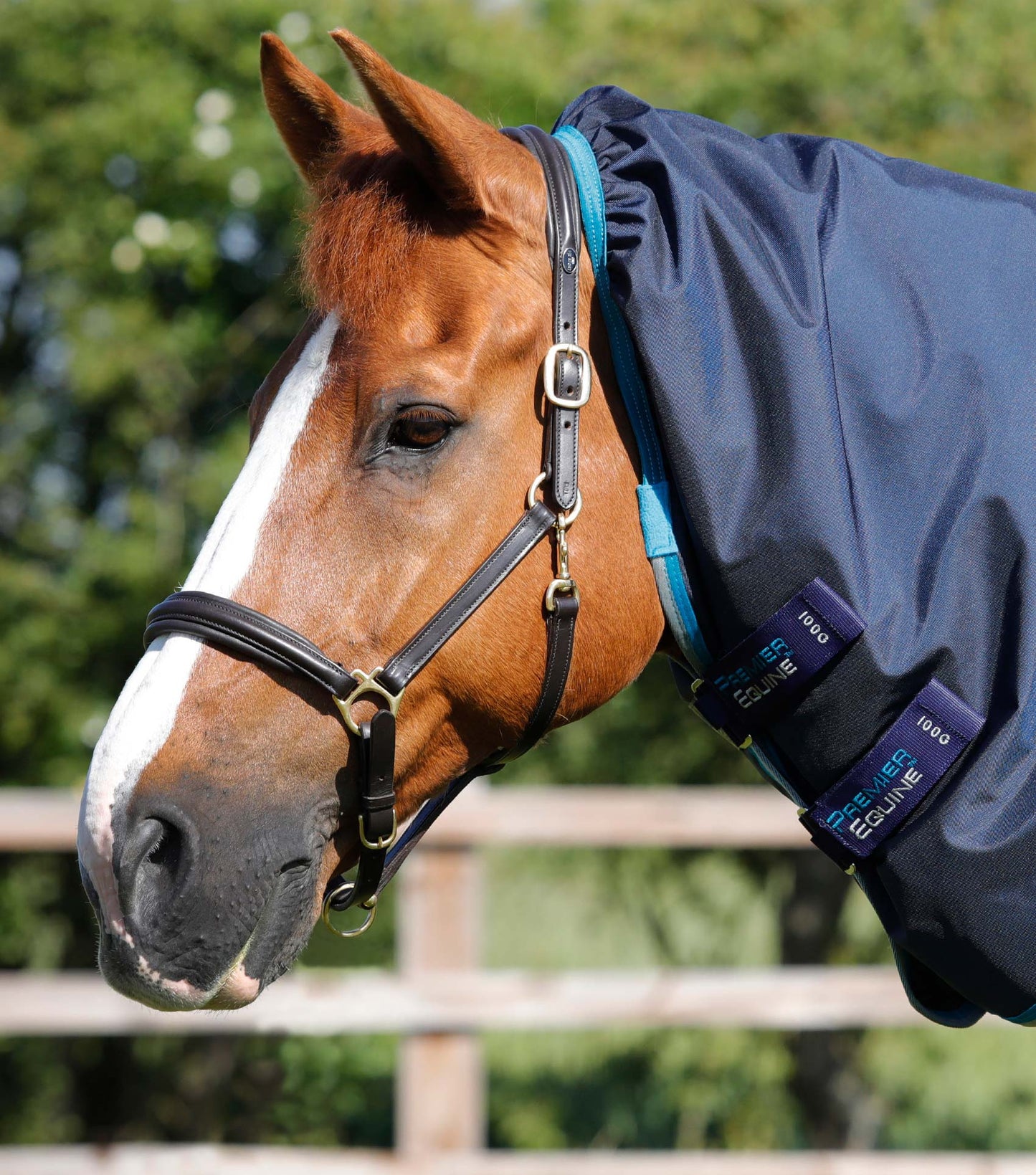 Premier Equine UK Buster Storm 100g Combo Turnout Rug with Snug-Fit Neck - Navy 6'6" / 78"