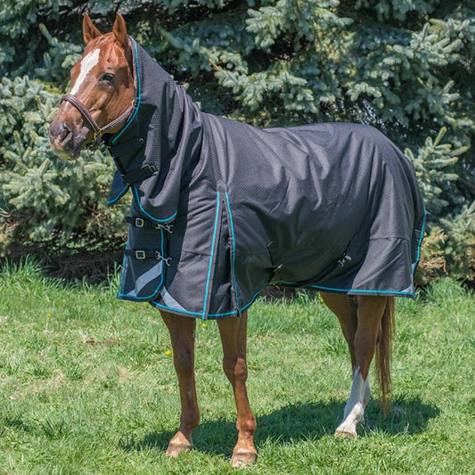 Canadian Horsewear Calypso Full Body 50g Rainsheet - Liner Compatible - Size 81" - Blue