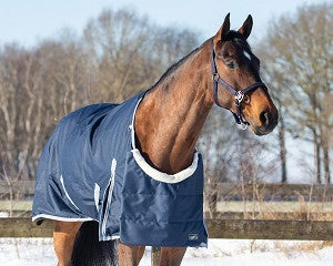 QHP Ontario Chest Protector - Navy