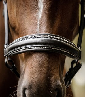 Waldhausen Glamour Halter - Black - Cob or Full Sizes *Clearance* Reg $210.00