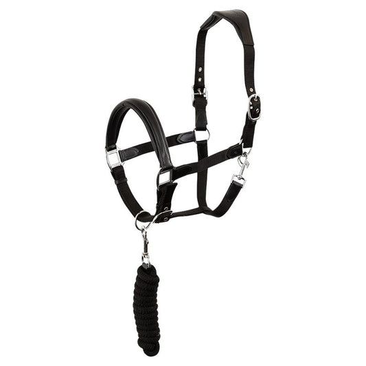 NEW - ANKY Halter ATH2207 with Lead - Nylon/Leather - Black/Black - Full