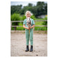 NEW - BR Mini Horse Hobby Horse - Goldy