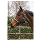 NEW - ANKY Halter ATH2207 with Lead - Nylon/Leather - Navy/Brown - Full