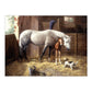 Paint by Number Kit - New Friends (13"x16") - CLEARANCE *REG$17*