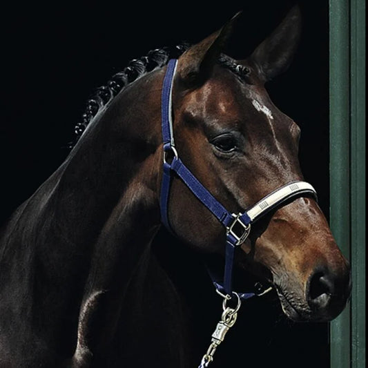 Passier "Collection" Nylon Halter - Navy - Cob - Clearance Reg $67.00