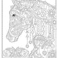 Creative Haven Dream Horses Colouring Book