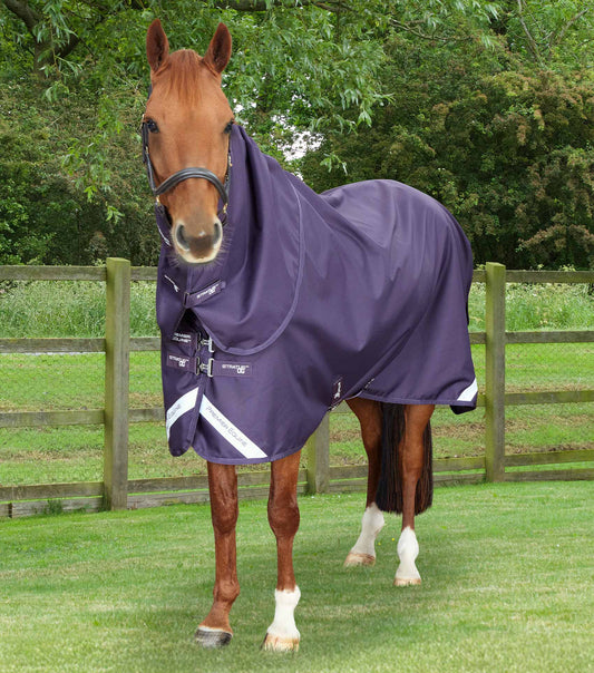 Premier Equine UK Stratus 1200 Series 0g Turnout Rug with Classic Neck Cover Purple - Special Order